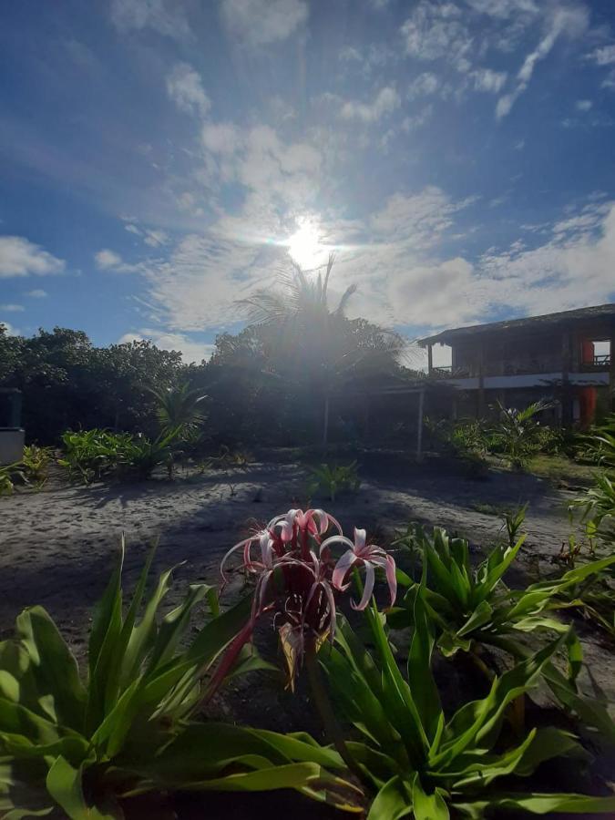Seaside Garden Ecolodge Mompiche Extérieur photo