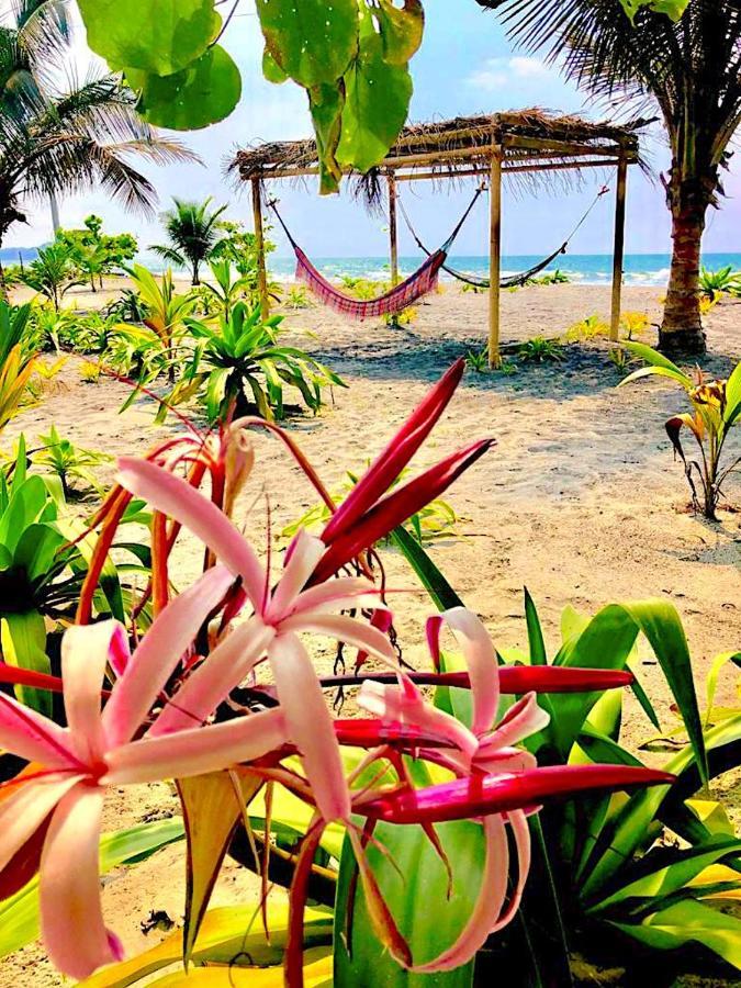 Seaside Garden Ecolodge Mompiche Extérieur photo
